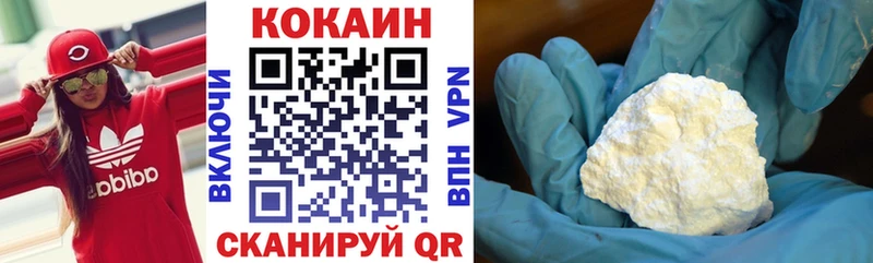 как найти закладки  Светлогорск  КОКАИН Боливия 