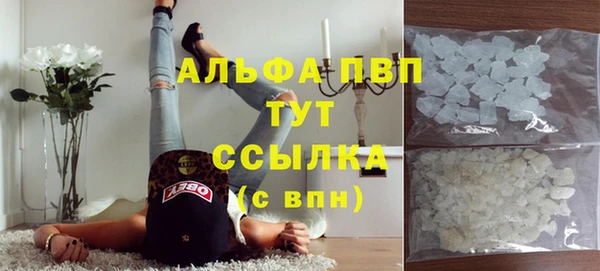 тгк Пересвет