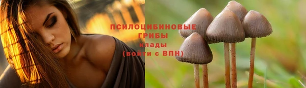спиды Армянск