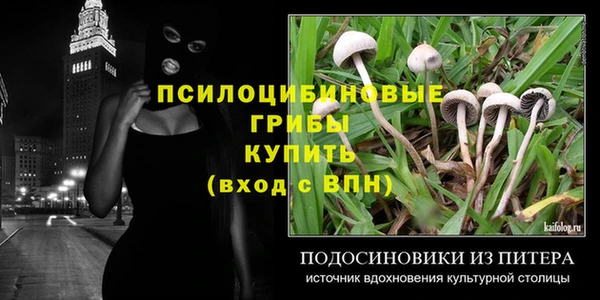 спиды Армянск