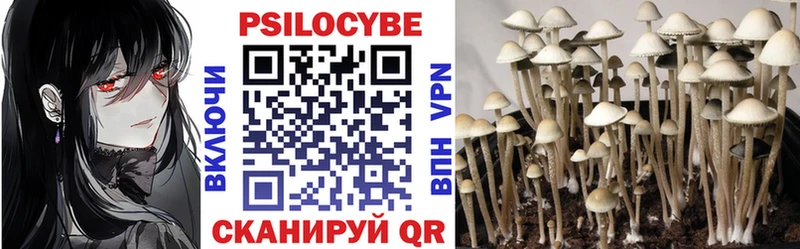 hydra ТОР  площадка формула  Галлюциногенные грибы мухоморы  где купить наркоту  Светлогорск 